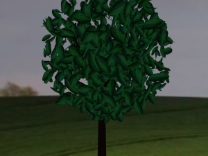 3d realistic tree Model 3D