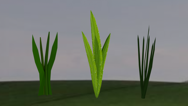 low-poly realistic grass -3 in 1-3d plants 3D Model .c4d .max .obj .3ds .fbx .stl .blend 