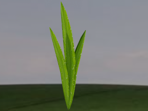 low-poly realistic grass -3 in 1-3d plants 3D Model