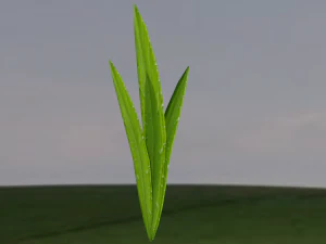 low-poly realistic grass -3 in 1-3d plants 3D Model