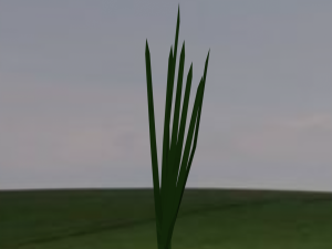 low-poly realistic grass -3 in 1-3d plants 3D Model