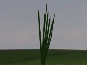 low-poly realistic grass -3 in 1-3d plants 3D Model