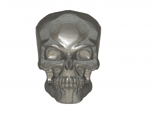 scull bead 3D Принт Модель