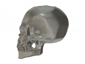 scull bead 3Dプリントモデル