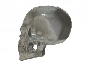 scull bead 3D Print Model