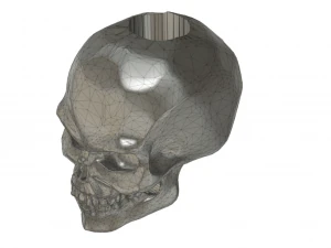 scull bead 3D Print Model