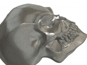scull bead 3Dプリントモデル
