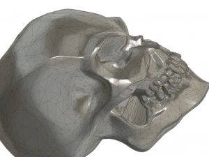 scull bead 3D Print Model