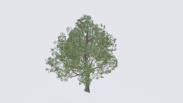 seasonal pack of trees Modelo 3D .c4d .max .obj .3ds .fbx .stl .blend 