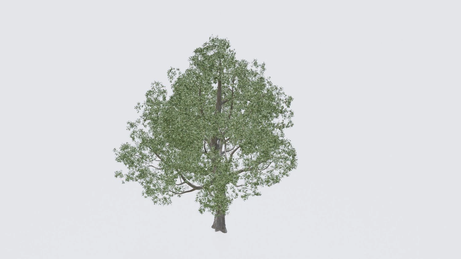 seasonal pack of trees 3D Model .c4d .max .obj .3ds .fbx .stl .blend 