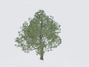 seasonal pack of trees 3D Model