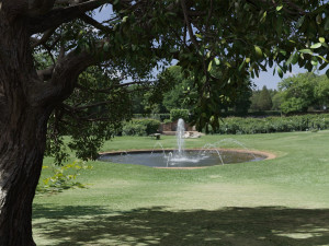 seasonal pack of trees Modelo 3D