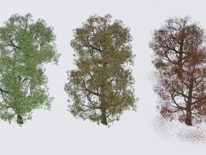 seasonal pack of trees 3D Model
