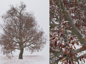 seasonal pack of trees Modelo 3D