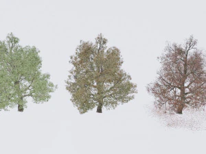 seasonal pack of trees 3D Model