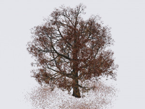 seasonal pack of trees Modelo 3D