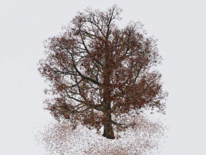 seasonal pack of trees 3D Model