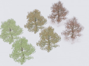 seasonal pack of trees Modelo 3D