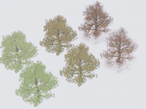 seasonal pack of trees 3D Model