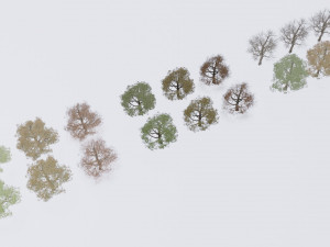 seasonal pack of trees Modelo 3D