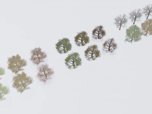 seasonal pack of trees 3D Model