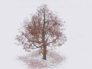 seasonal pack of trees 3D Model