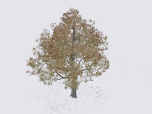 seasonal pack of trees Modelo 3D