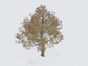seasonal pack of trees 3D Model