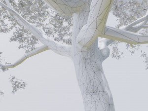 seasonal pack of trees Modelo 3D