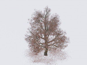 seasonal pack of trees Modelo 3D
