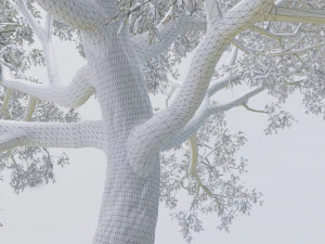 seasonal pack of trees 3D Model