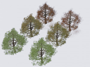 seasonal pack of trees Modelo 3D