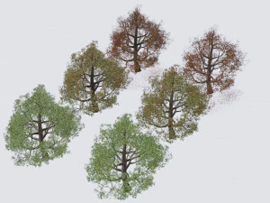 seasonal pack of trees 3D Model