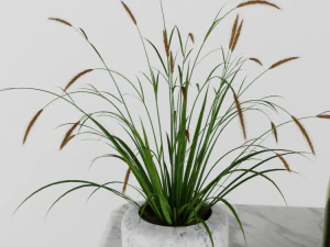 Buffet con decorazioni Modello 3D