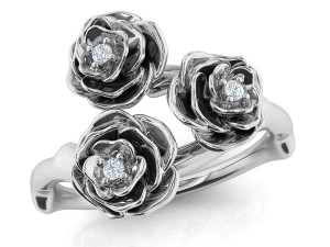 the akita ring Modèle 3D