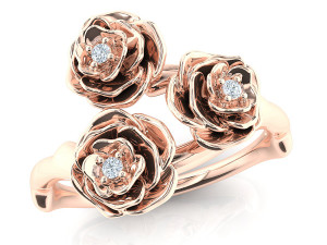 the akita ring Modèle 3D