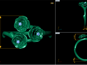the akita ring Modèle 3D