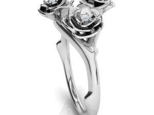 the akita ring Modèle 3D