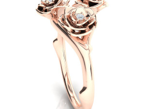 the akita ring Modèle 3D