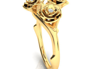 the akita ring Modèle 3D