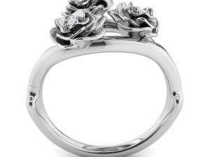 the akita ring Modèle 3D
