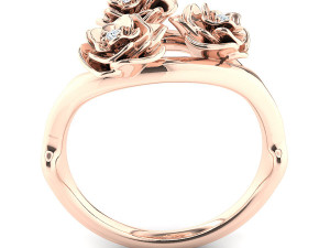 the akita ring Modèle 3D