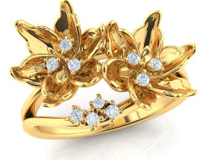 o anel da terra Modelo 3D