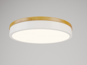 botimi-ceiling lamp vol 01 Modello 3D