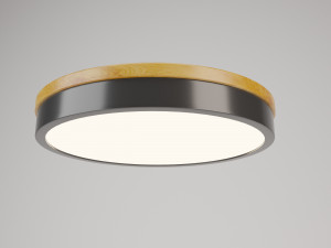 botimi-ceiling lamp vol 01 Modello 3D