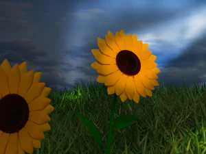 Abandoned sunflower field 3D Model