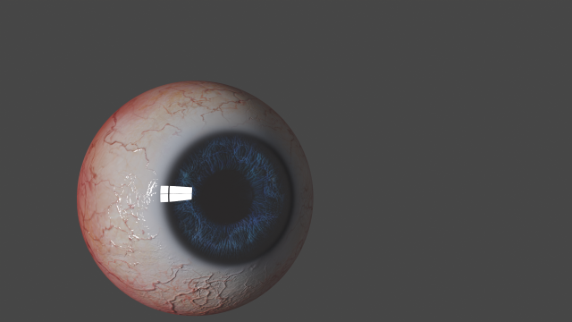 Eyes 3D Model .c4d .max .obj .3ds .fbx .stl .blend