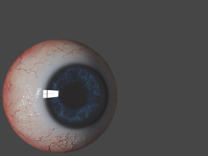 Eyes 3D 模型