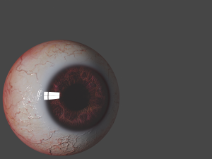 Eyes 3D Model