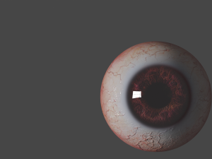 Eyes 3D Model